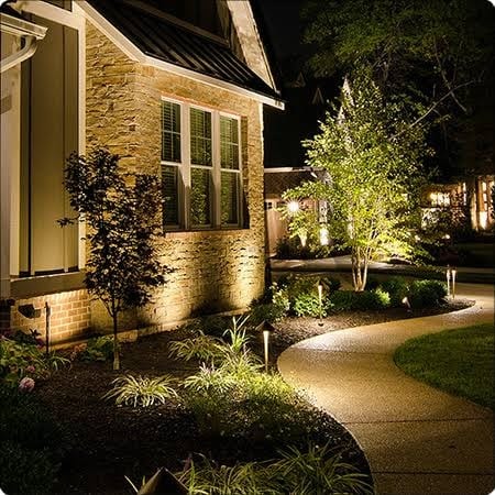 Professional landscape pathway and uplighting in garden at night